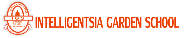 igs logo